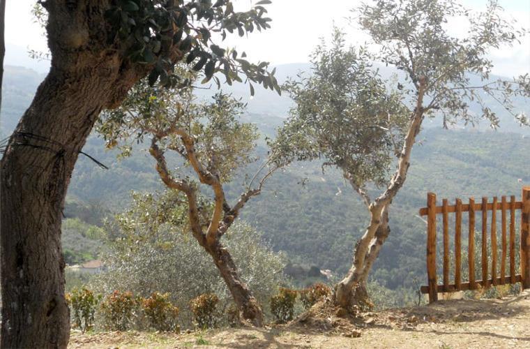 منزل الضيف Laureana Cilento  في Casale Il Gheppio المظهر الخارجي الصورة
