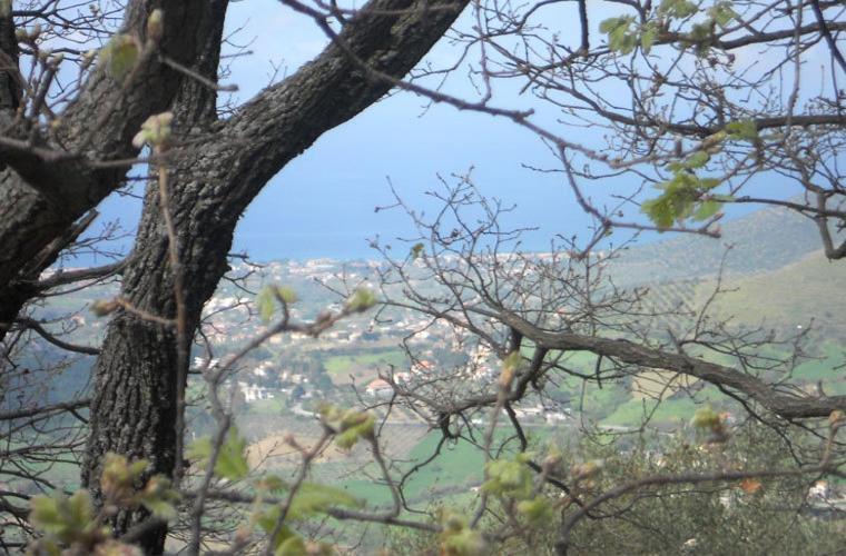 منزل الضيف Laureana Cilento  في Casale Il Gheppio المظهر الخارجي الصورة
